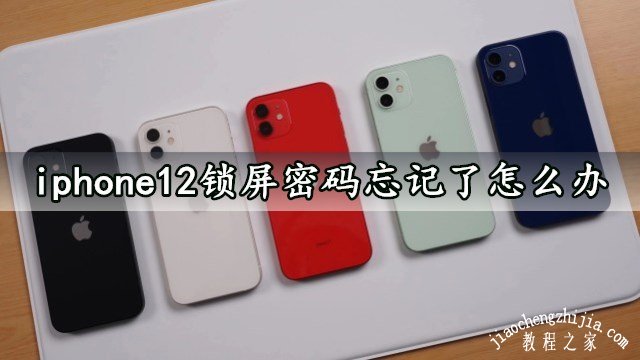 iphone12锁屏密码忘记了怎么办 (苹果12如何找回密码)